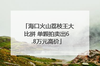 海口火山荔枝王大比拼 单颗拍卖出6.8万元高价